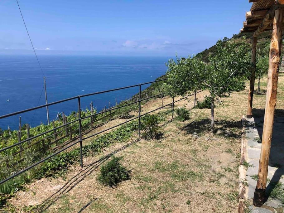 Вілла Orangehouse Cinque Terre. Private Parking Ріомаджоре Екстер'єр фото